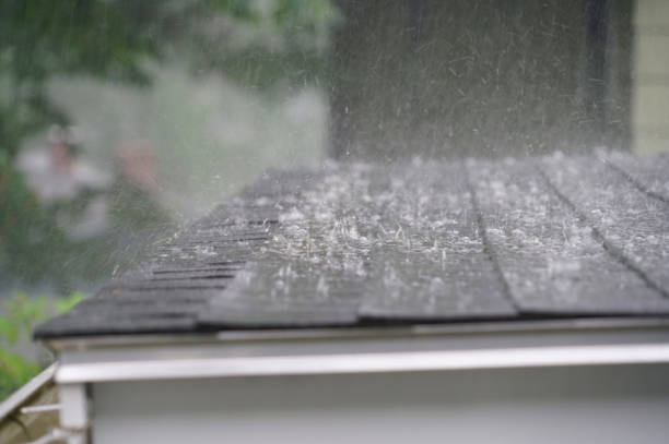 Best Skylight Installation and Repair  in Springfield, MA
