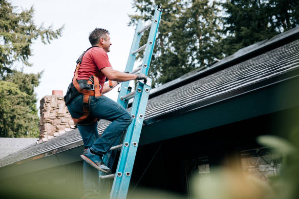 Best Skylights  in Springfield, MA